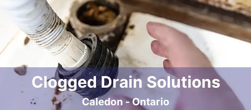  Clogged Drain Solutions Caledon - Ontario