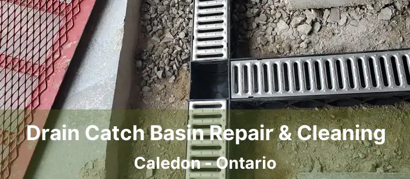  Drain Catch Basin Repair & Cleaning Caledon - Ontario