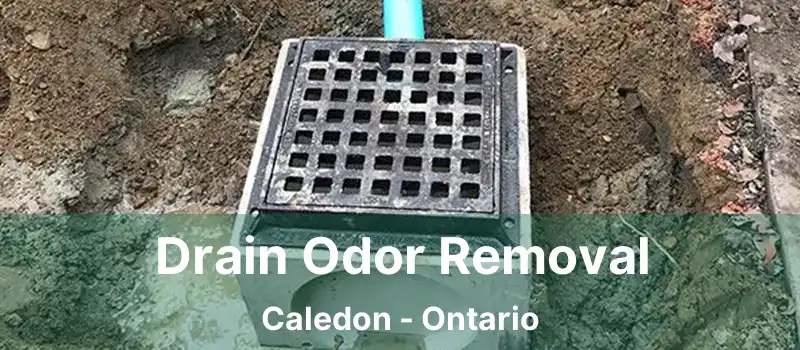  Drain Odor Removal Caledon - Ontario