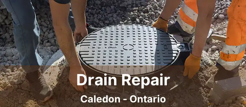  Drain Repair Caledon - Ontario